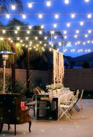 Festoon Lights  - White