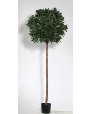 Bay Tree Artificial